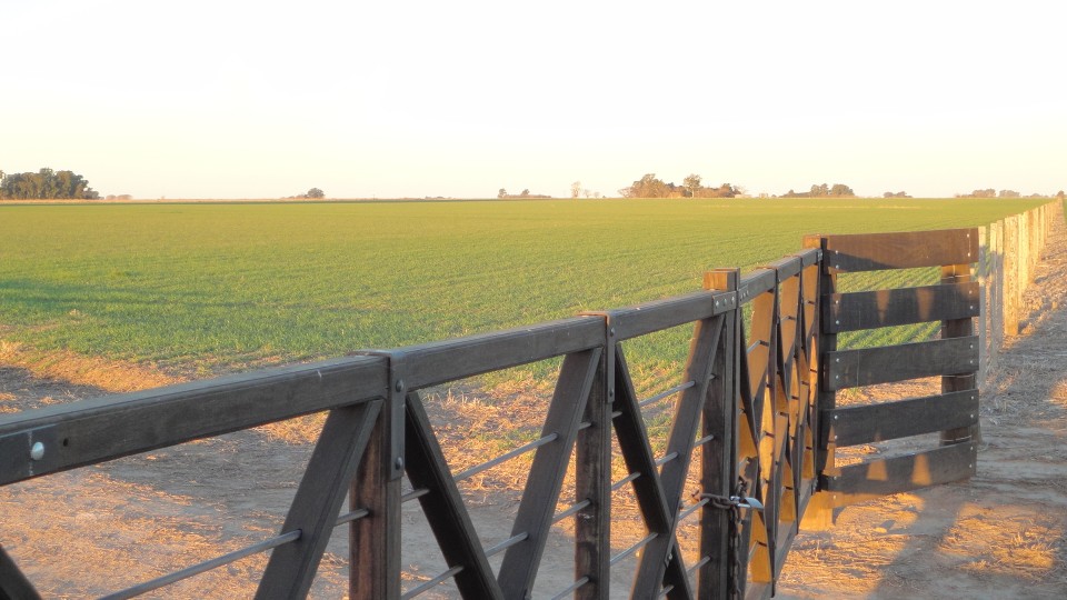 Perfil de Estancia Paso Real